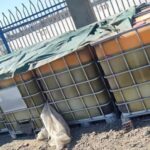 A refinery hydrotreating reactor showing the catalyst activation process with sulfur-containing agents such as DMDS, TBPS, and DTBPS under controlled conditions.